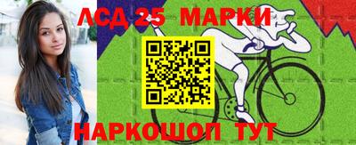 прущие грибы Кандалакша