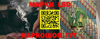 прущие грибы Кандалакша
