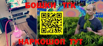 прущие грибы Кандалакша