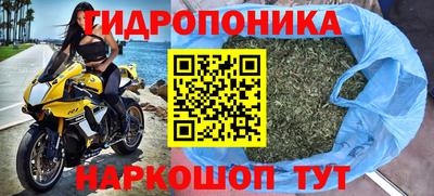МДПВ Камышлов