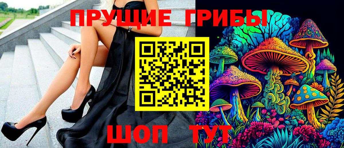 магазин продажи   Псилоцибиновые грибы Magic Shrooms  Вход с VPN  Чайковский 